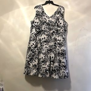 Amanda Lane printed blank & white dress Plus Size, 24